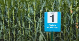 A small scale, show and tell approach demonstrates broad benefits of tillage consistency and smart nutrient application to manage a more efficient, economic farm.