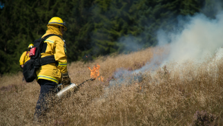 Protection du patrimoine paysager de l'Allemagne