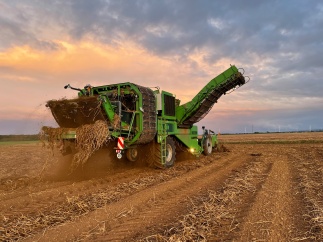 Topcon YieldTrakk&trade;: Ertragserfassung bei der Kartoffelernte