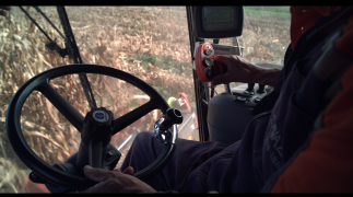 Выращивание кукурузы: современные методы повышения урожайности