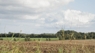 Comment v&eacute;rifier rapidement l'&eacute;tat d'une &eacute;olienne&nbsp;?